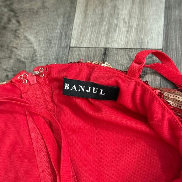 Banjul ornate sequin beaded feathered red mini dress - Picture 5 of 8